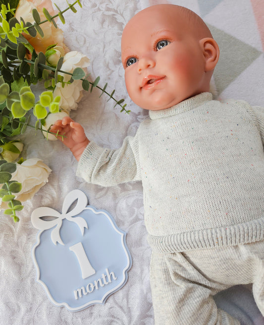 1-12 Month Baby milestone cards IN ENGLISH #2