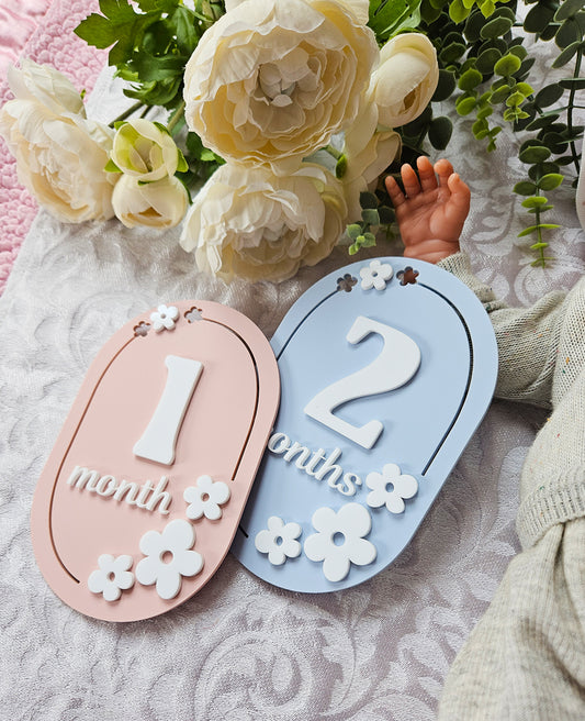 1-12 Month Baby milestone cards IN ENGLISH