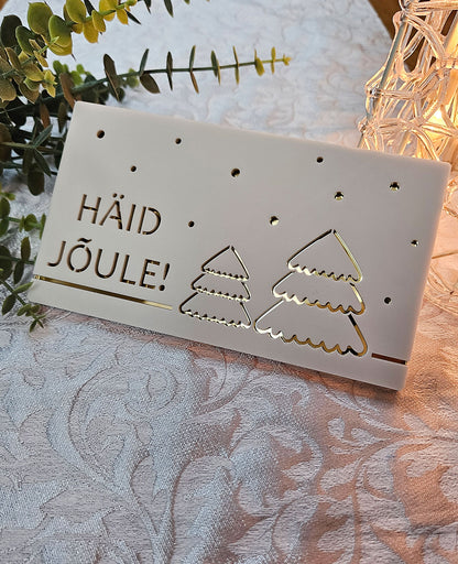 Rahaümbrik Jõuludeks #5