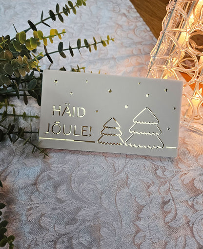 Rahaümbrik Jõuludeks #5